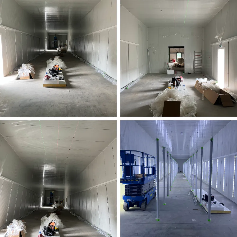 uv growing room the process