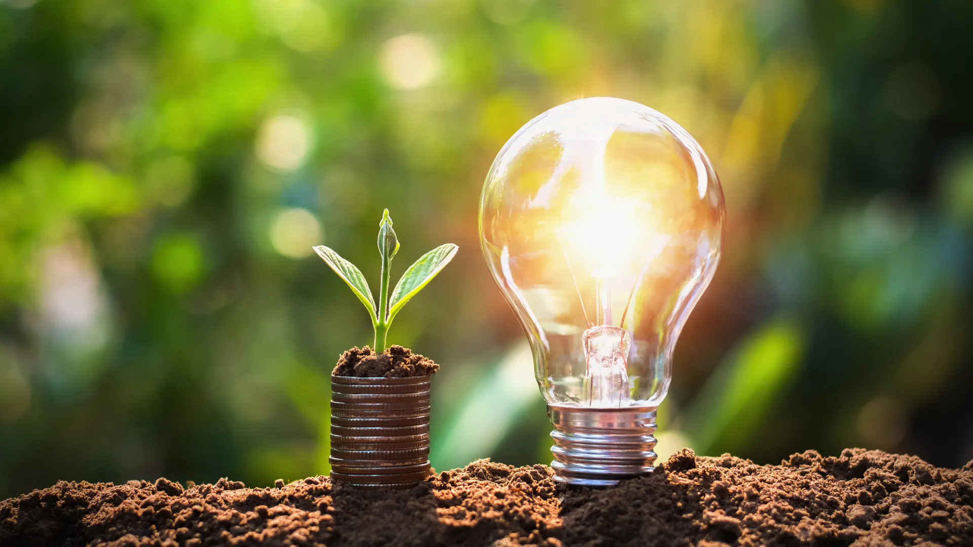 Featured image for “How to Save Energy at Your Business | From Commercial Electrical Experts”